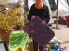 dsc01784