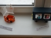 dsc00101