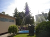 dsc00957
