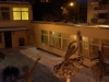 20170113_080024